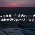 神秘人在昨天中午遭遇mitao 热血沸腾，蜜桃传媒全网炸锅，详情揭秘