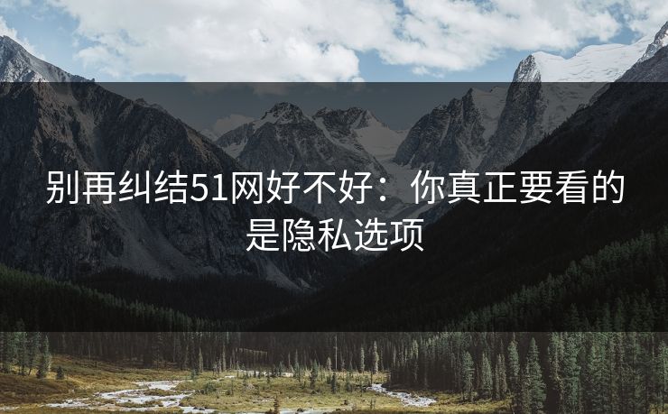 别再纠结51网好不好：你真正要看的是隐私选项